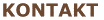 Kontakt